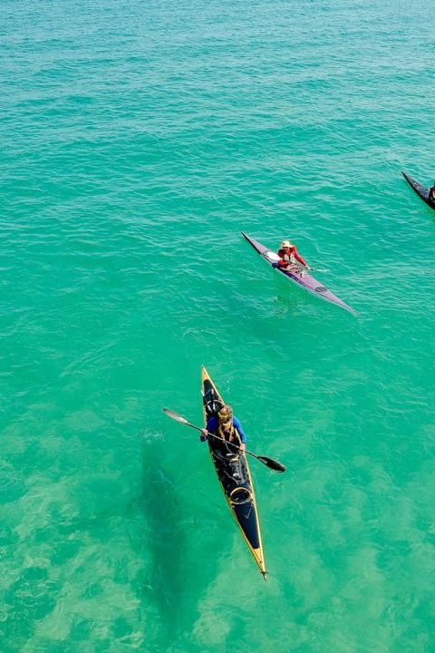 pexels-alexander-bobrov-390088-1036864